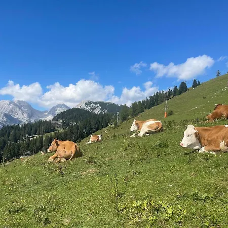 New Cosy Apartment, Smucisce Krvavec * Cerklje na Gorenjskem