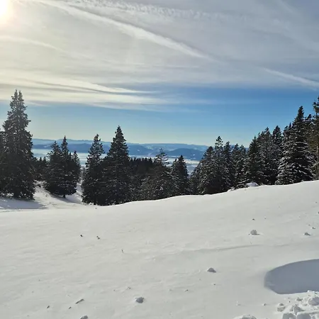 Apartment New Cosy Apartment, Smucisce Krvavec