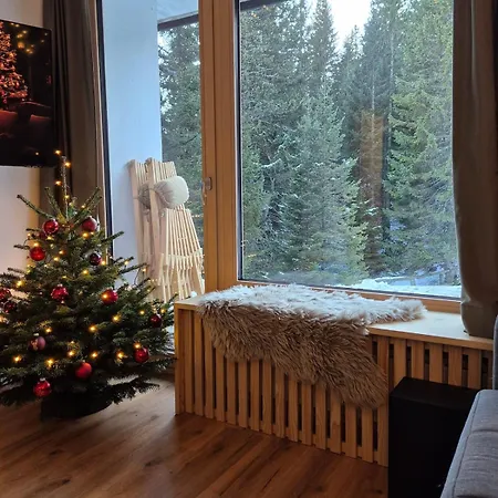 New Cosy Apartment, Smucisce Krvavec *